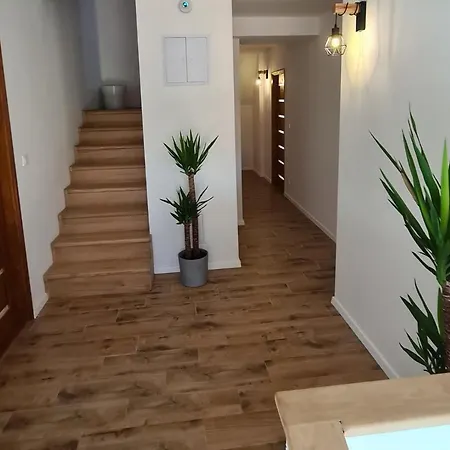 Mihelyuenk Πανσιόν